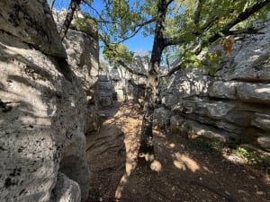 De Casteljau-lus - Mathieu - 5
