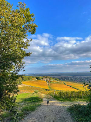 Givry et sa petite randonnée - Cloé - 3
