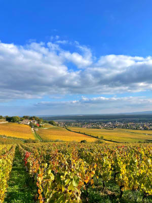 Givry et sa petite randonnée - Cloé - 2