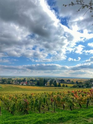 Givry et sa petite randonnée - Cloé - 5