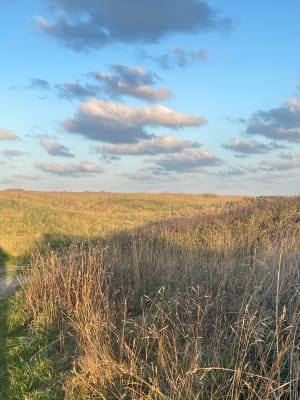 Entre terre et mer à Gatteville-le-Phare - Koraline - 6