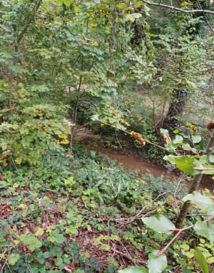 Bref tour du marais de la Tuffière et jolie cacade - Emmanuelle - 3