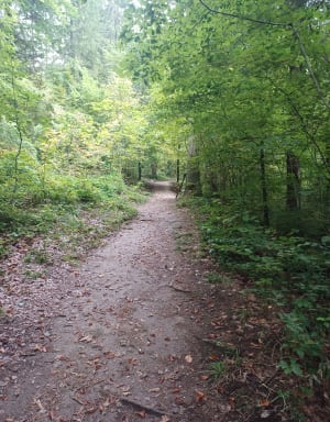 Bref tour du marais de la Tuffière et jolie cacade - Emmanuelle - 5