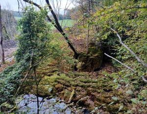 Bref tour du marais de la Tuffière et jolie cacade - Emmanuelle - 6