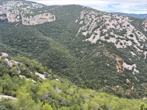 Saint-Guilhem-le-Désert, Max Nègre, forestière des Plos - Cindy  - 11