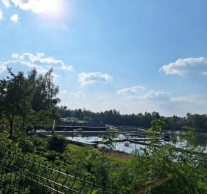 Czechowice-Dziedzice, Bestwina, Kaniów - Mirosław  - 4