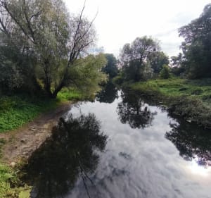 Wzdłuż Wisławy i Odry - Kosiński - 2