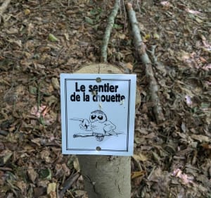 Belle rando à Saint-Martin-du-Manoir - Decathlon - 3
