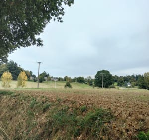 Balade autour de Saint-Georges-de-Reintembault - steven - 2