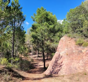 Rando à Crillon-le-Brave en longeant les carrières d'ocre - THOMAS - 5