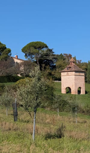 Randonnée dans les vignes et les châteaux de Broze - pascal - 7