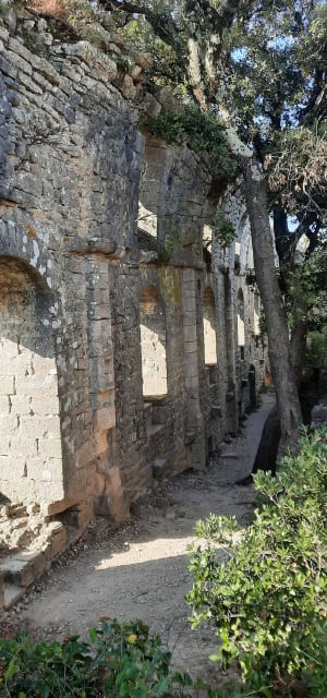 Corniche de l'Hortus, zijn kasteel, zijn grot en zijn panorama - Pierre - 6