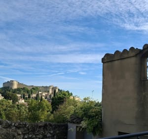 Marche dans la plaine de l'abbaye à Villeneuve-Les-Avignon - Valérie - 2