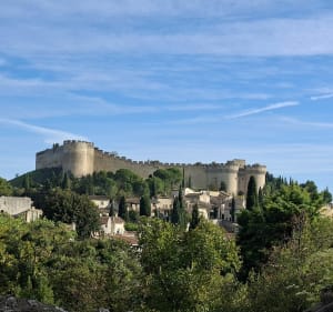Marche dans la plaine de l'abbaye à Villeneuve-Les-Avignon - Valérie - 3