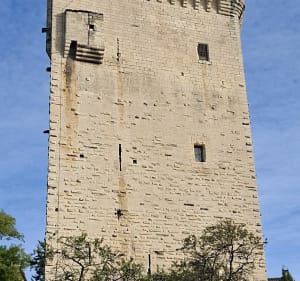 Marche dans la plaine de l'abbaye à Villeneuve-Les-Avignon - Valérie - 5