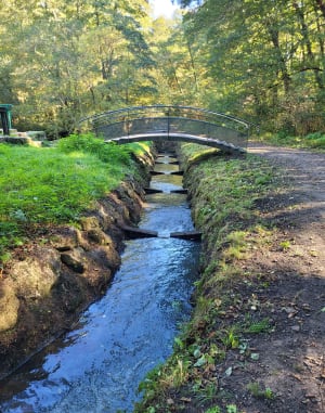 Les 3  chemins Salvador Allende Parc Canéjan - YANN - 3