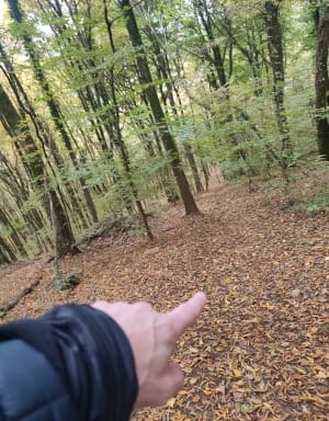 Le chemin aux noisetiers - Laurent - 6