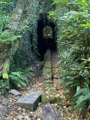 Bocage Normand - Garin - 9