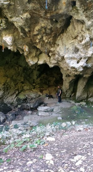 Balade verdoyante depuis Arudy et petite grotte mystérieuse - Daniela - 2