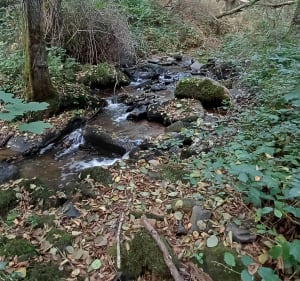 Verneuil-sur-Vienne, par Bagoulas - chantal - 4