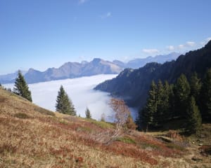 Rondom de Roc d'Enfer - delphine - 4