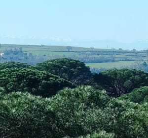 Bassan et sa garrigue - Claude - 3