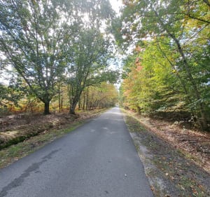 Sur le chemin de Compostelle - Jean Pierre - 2