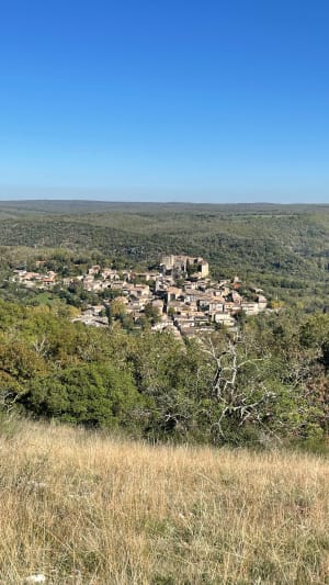 Saint Maffre vue sur le château de Bruniquel - Flora - 6