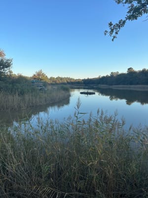 Jemaye Pond Loop en discrete ontmoetingen - Coralie - 4