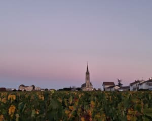 Échappée dans les vignobles de Pomerol - Marie - 5