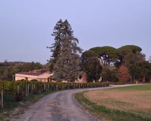 Échappée dans les vignobles de Pomerol - Marie - 4