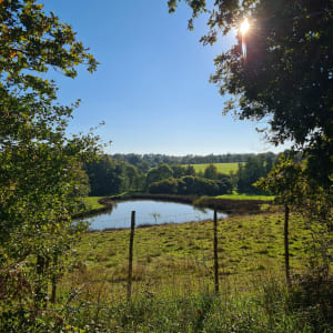 Le calme de Le Poiré-sur-vie - CLAIRE - 4