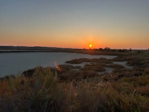 Frontignan - Les salins - Aurelie - 5