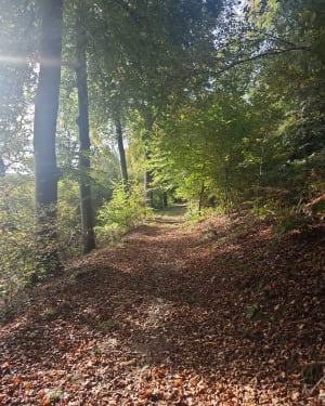 Boucle autour de Roncherolles -sur-le-Vivier - Romain - 3