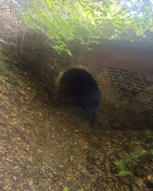 Boucle autour de Roncherolles -sur-le-Vivier - Romain - 2