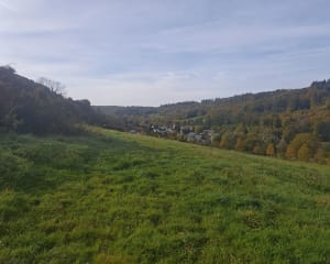 Boucle autour de Roncherolles -sur-le-Vivier - Romain - 6