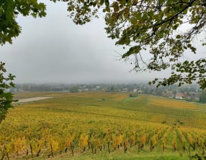 Madone, Givry - Le - 8