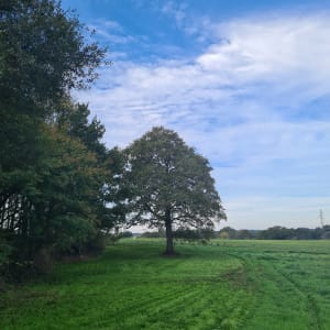 Chemin des Farfadets autour de La Vie - CLAIRE - 3