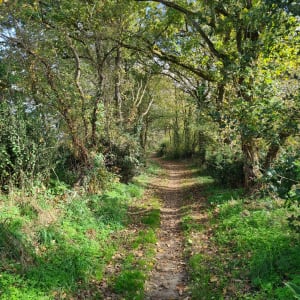 Chemin des Farfadets autour de La Vie - CLAIRE - 2