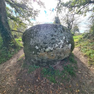 Chemin des Farfadets autour de La Vie - CLAIRE - 4
