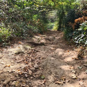 Chemin des Farfadets autour de La Vie - CLAIRE - 5