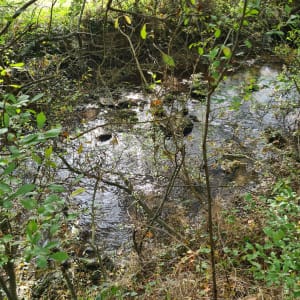 Chemin des Farfadets autour de La Vie - CLAIRE - 6