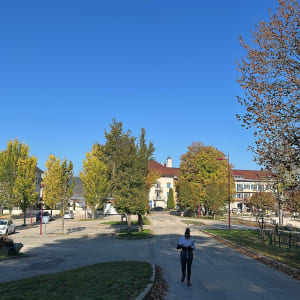 De Malbuisson jusqu'au fort Saint Antoine - David - 6