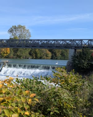 Balade entre le canal de Chelles et la Marne - Marine - 11