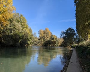 Balade entre le canal de Chelles et la Marne - Marine - 10