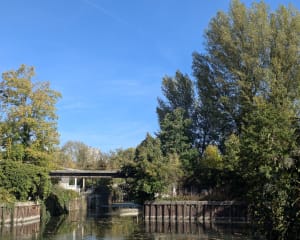 Balade entre le canal de Chelles et la Marne - Marine - 12