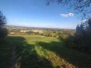 Castelnau-de-Montmiral et sa balade contemplative - Jean - 3