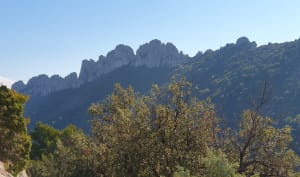 Sortie aux Dentelles de Montmirail - Stéphane  - 6