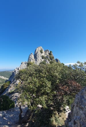 Sortie aux Dentelles de Montmirail - Stéphane  - 8