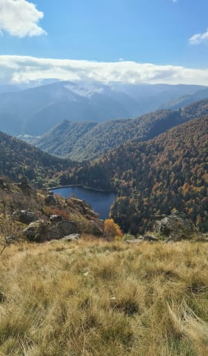 Col de la schlucht vers le honeck. - Stephane - 7